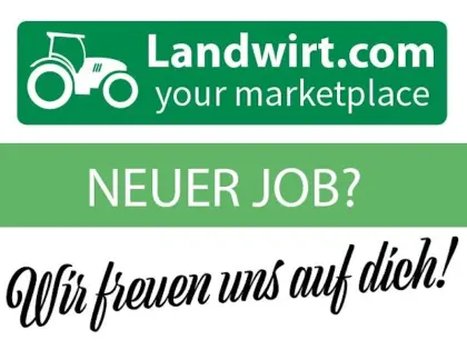 WIR SUCHEN VERSTÄRKUNG: Teamassistenz Sales & Backoffice
