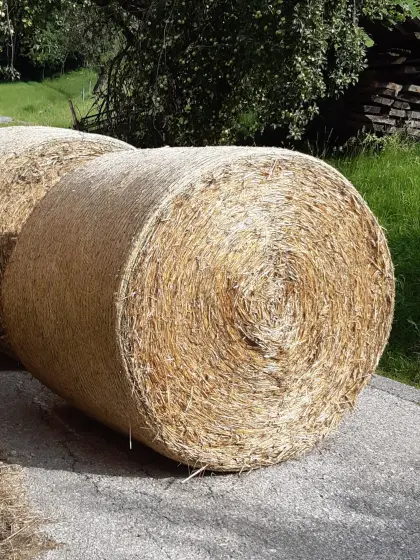 Heu- und Strohballen zu verkaufen