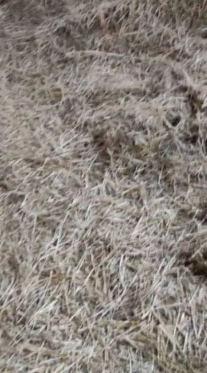 Stroh lose zu verschenken