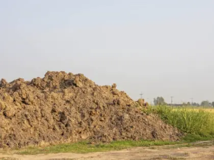 Aushub, Erde zu verschenken