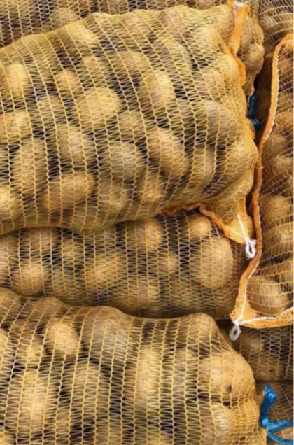 BIO Ditta feldfallend