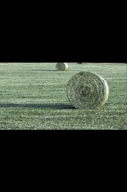 Bio Heuballen 1. Schnitt 2024