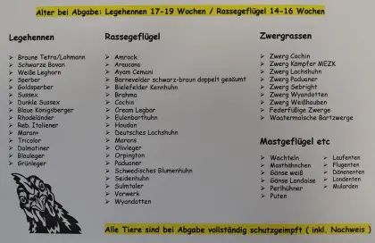 Mastgeflügel, Masthähnchen, Gänse, Enten, Wachteln