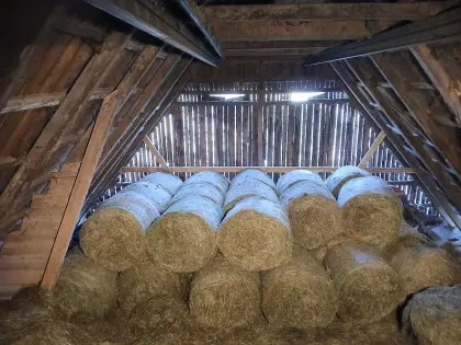 Heuballen zu verkaufen