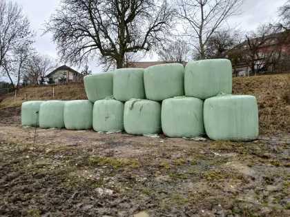 BIO-Siloballen ca. 30 Stk.