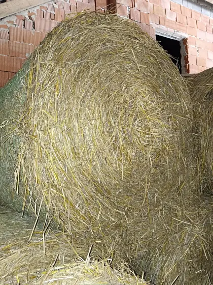 Bio Stroh Rundballen