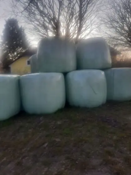 Silageballen