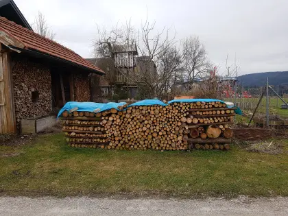 Brennholz weich, Stangen