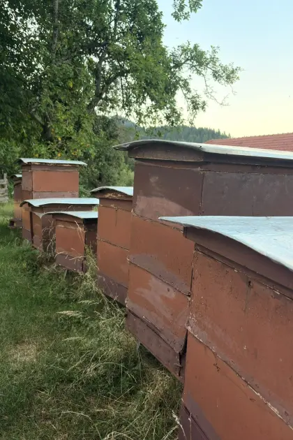 Bienenvölker, Bienenstöcke, div. Zubehör