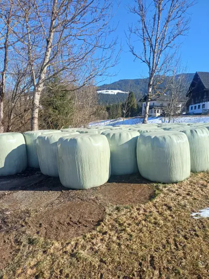 Bio-Silageballen