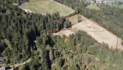 Suche Pächter für 4,5 ha