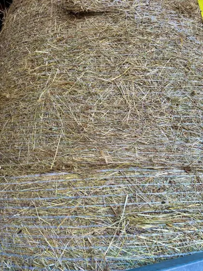 Heu Rundballen 150 cm