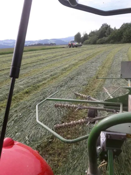 Verkaufe Bio Pferdeheu