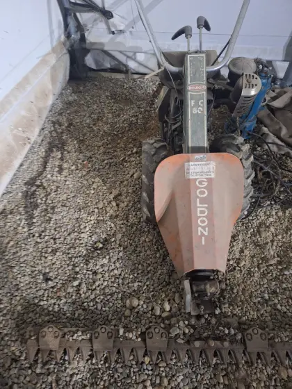 Motormäher Goldoni defekt