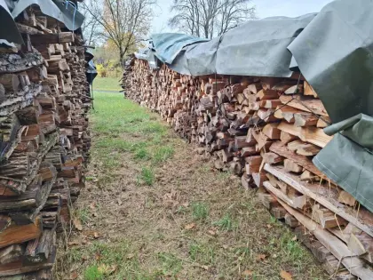 Brennholz, 20 m, Kiefer, Eiche