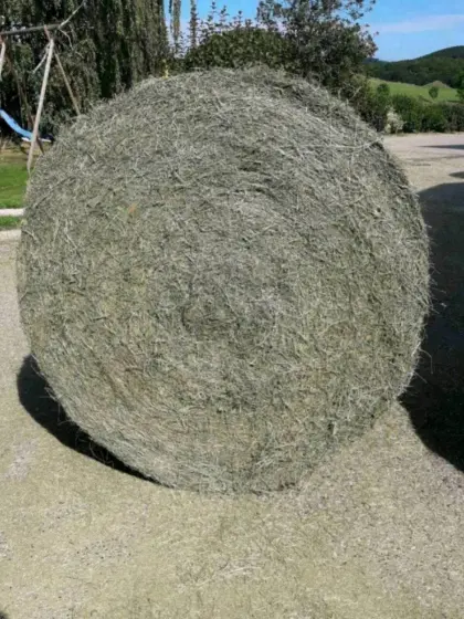 Heurundballen, 2. Schnitt belüftet