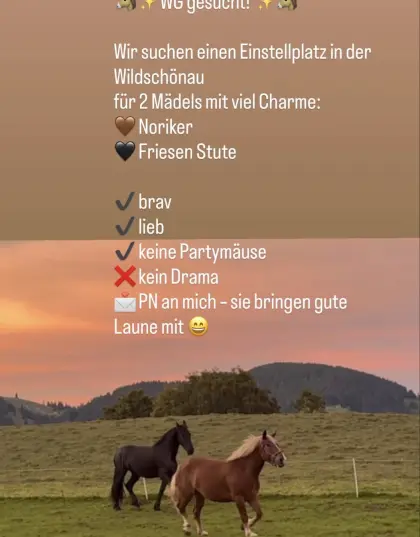 Wiese für Pferdehaltung zur Pacht gesucht