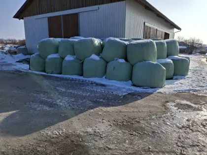 Siloballen Schnitt 4 und 5 2025