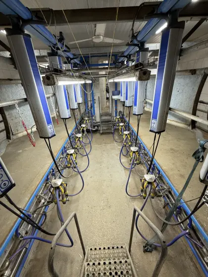 2x5er Fischgrätmelkstand DeLaval