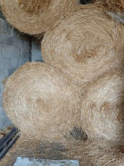 Bio Stroh und Heu in Rundballen und Quaderballen