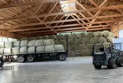 Heurundballen 1. Schnitt Juni 2025 bis zu 600 Stk.