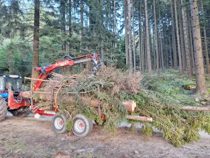 Rückewagen Eigenbau - Mit Moser 3-Punkt-Kran und Bagger