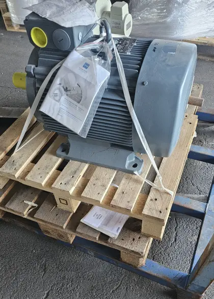 NEU Drehstrommotor VEM 30 kW IE3-W43R 200 L2 HW TPM