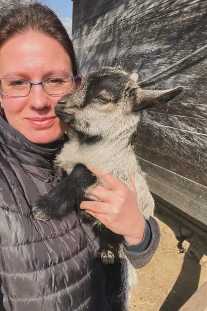 Afrikanische Zwergziegen