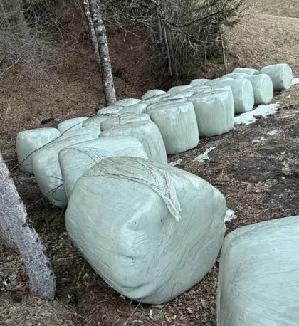 Verkaufe Heulageballen