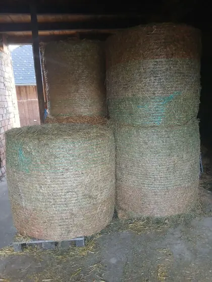 Heuballen, Grummetballen