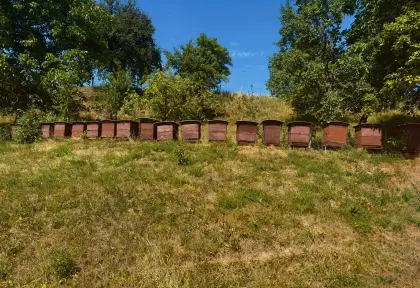 Bienenvölker, Bienenstöcke, div. Zubehör
