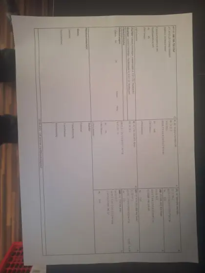 Walliser Schwarznasenschaf