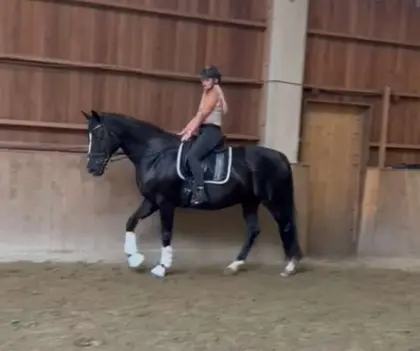 Reitunterricht Graz Reiten Einzelstunde