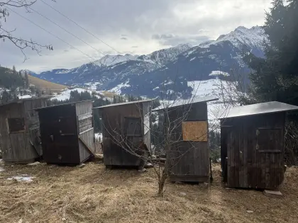 Jagdhochsitze zu verkaufen