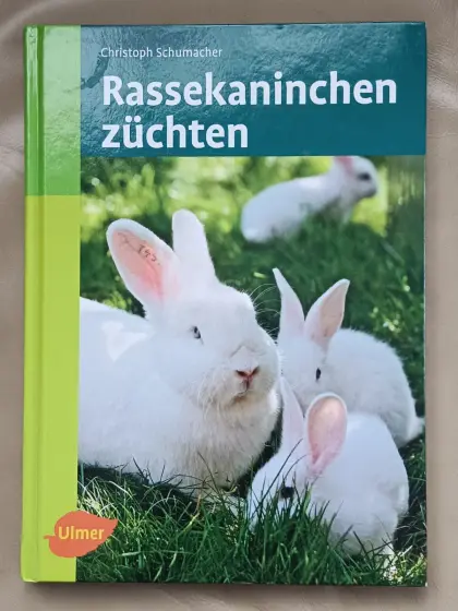Kaninchen