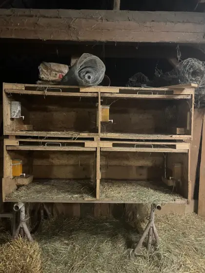 Hasenstall, Kleintierstall