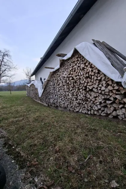 Buchenbrennholz zu verkaufen