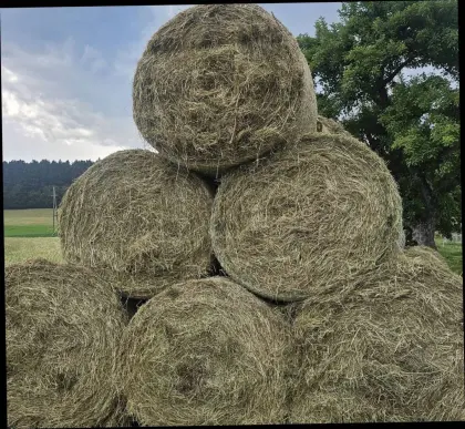 Heuballen 1. und 2. Schnitt 2025