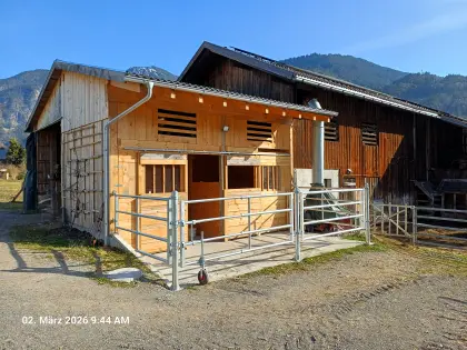 Pferdebox inkl. Paddock zu vermieten