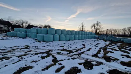 Siloballen Silageballen 1,3 m