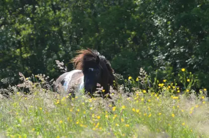 Einstellplatz zu vergeben