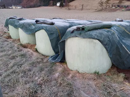 Bio Grassilage Ballen