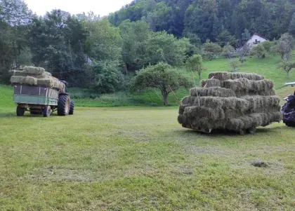 Kleine Heuballen zu verkaufen