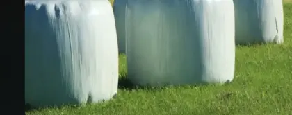 Siloballen 2er Schnitt 2025