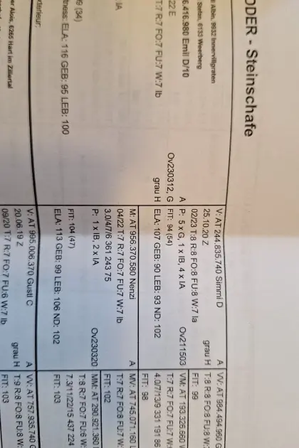 Tiroler Steinschafwidder