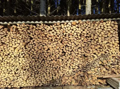 Brennholz gemischt