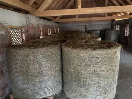 BIO Heu 1. Schnitt 2025