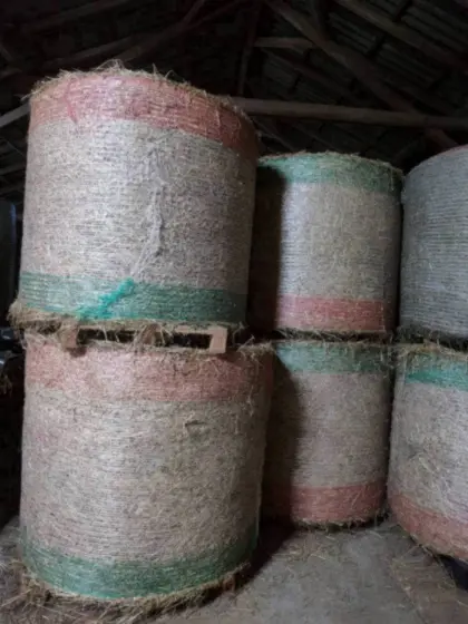 Heu Heuballen Rundballen Pferdeheu