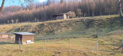 Sommerfrische, wunderschönes Grünland zu vermieten (Sommer)