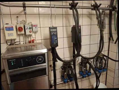 Melkanlage, Milchkühlung